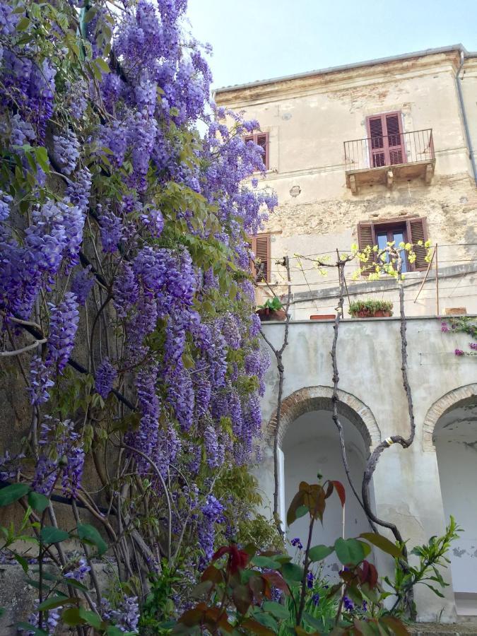Palazzo De Fabritiis Bed and Breakfast Rosciano  Buitenkant foto
